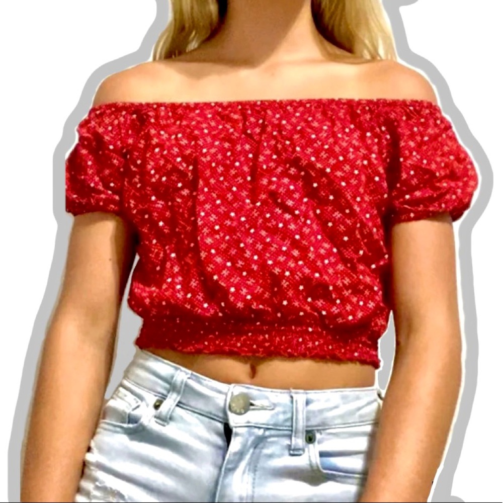Hollister Crop Too